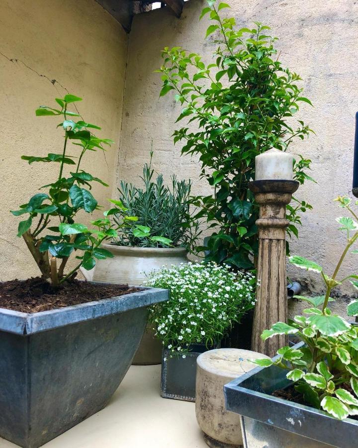 Appartement Le jardin Wilson à Dijon Extérieur photo